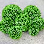 Quả Cầu Cỏ Nhân Tạo